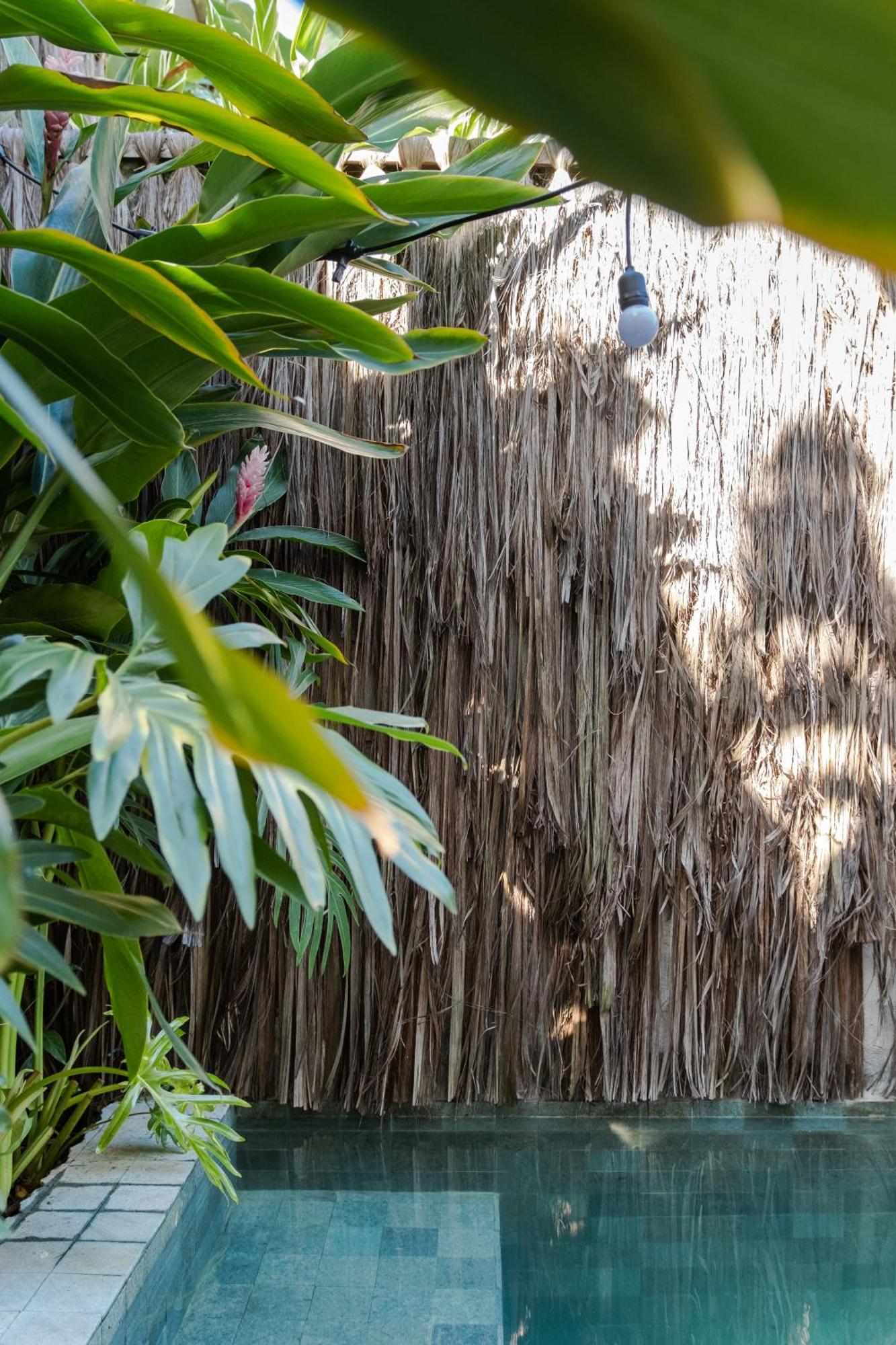 Casa Das Conchas Caraíva Exteriér fotografie